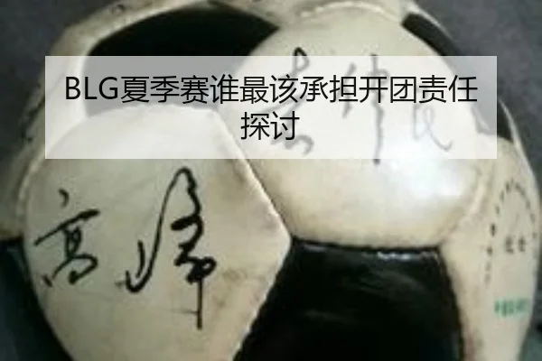 BLG夏季赛谁最该承担开团责任探讨